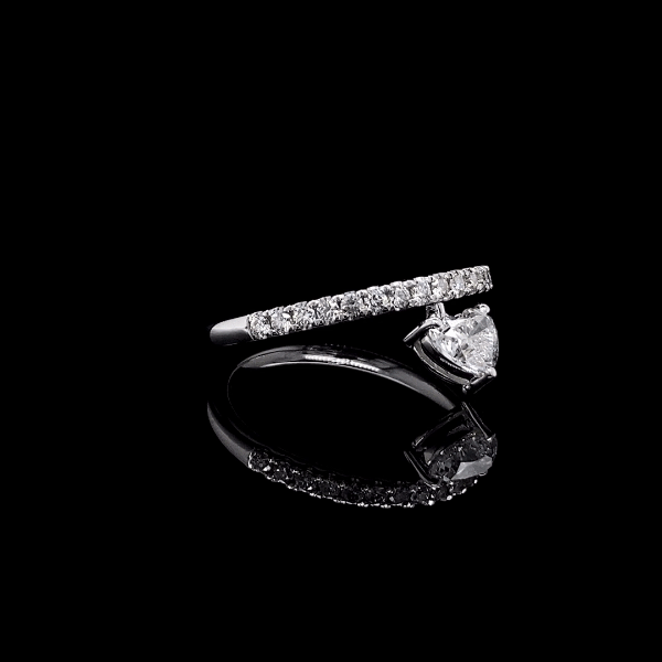 Diamond and black diamond 2025 ring